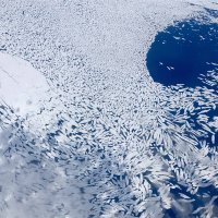 57 - Marlo Garnsworthy